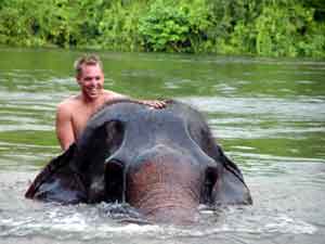 La baignade des éléphants